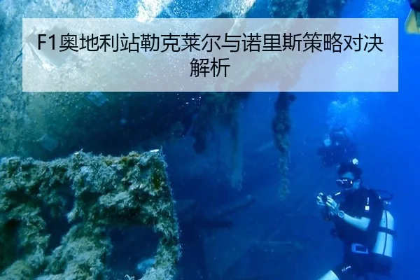 ao-di-li-zhan-lei-ke-lai-er-yu-nuo-li-si-ce-lve-dui-jue-jie-xi-2-146.jpg